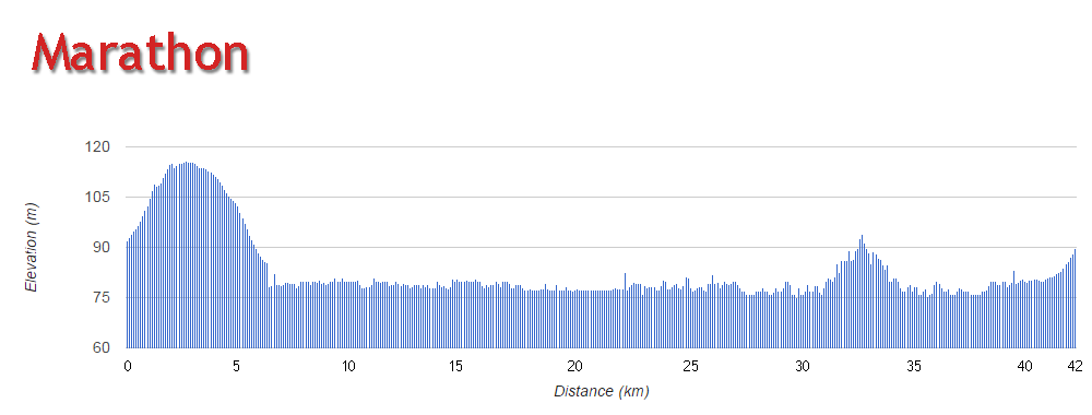 Toronto Waterfront Marathon Elevation Chart